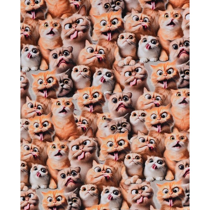 Jersey Digital Funny Cats 5924