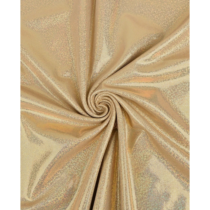 Holographic Lamé Jersey 6095