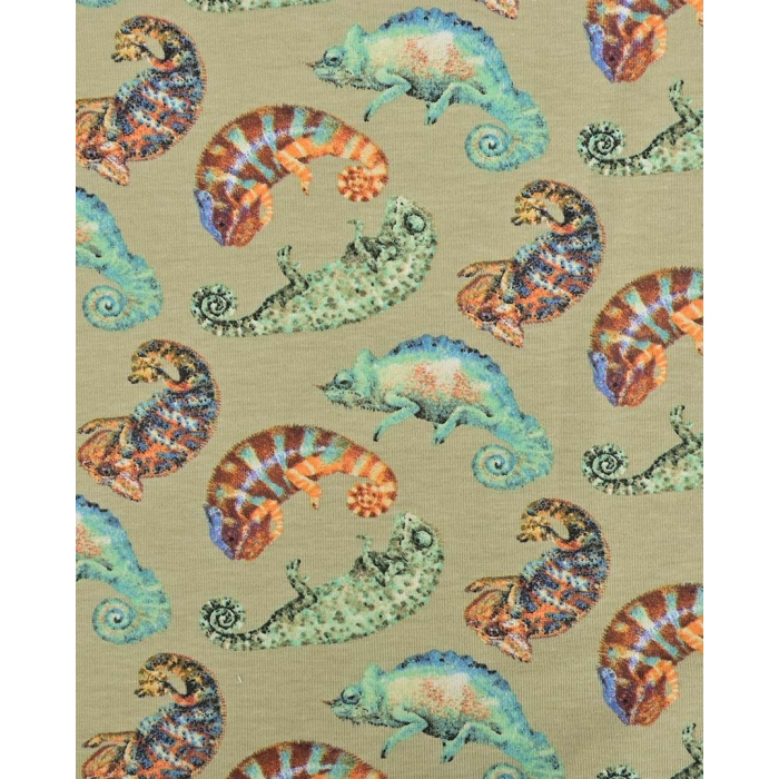 Jersey Chameleon 90252