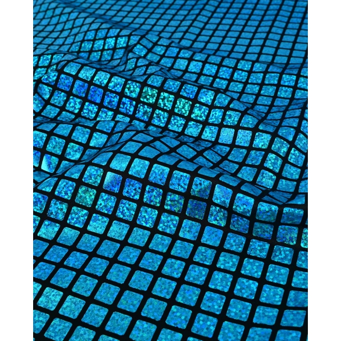 Check Hologram Foil 5658