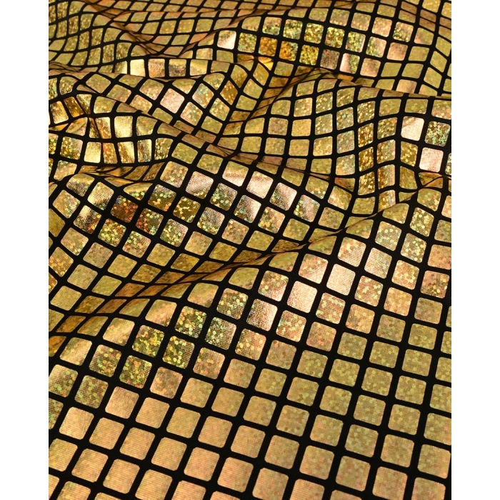 Check Hologram Foil 5658