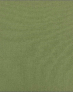 Poplin Uni 3000