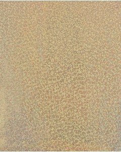 Holographic Lamé Jersey 6095