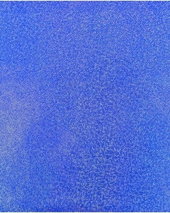 Holographic Lamé Jersey 6095