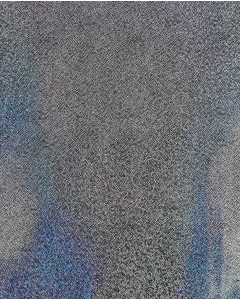 Holographic Lamé Jersey 6095
