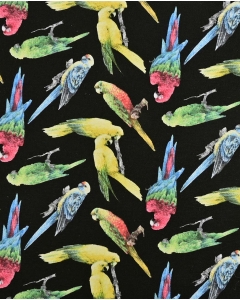 Jersey Parrot 90250