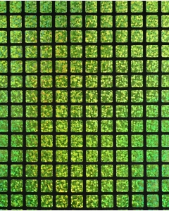Check Hologram Foil 5658