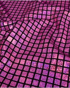 Check Hologram Foil 5658