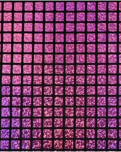 Check Hologram Foil 5658