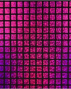 Check Hologram Foil 5658