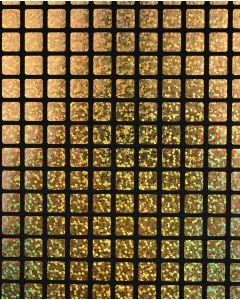 Check Hologram Foil 5658