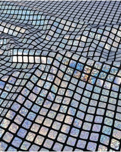 Check Hologram Foil 5658
