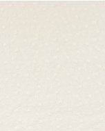 Embroidery Cotton Two Sides Scollop Border 5817