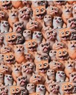 Jersey Digital Funny Cats 5924