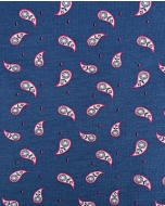 Jersey Paisley 90239