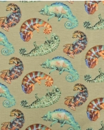 Jersey Chameleon 90252