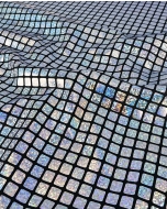 Check Hologram Foil 5658